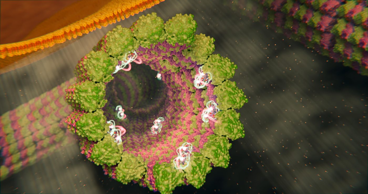 Kalra Lab cover